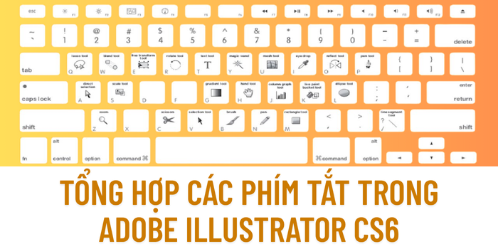 Tổng Hợp Các Phím Tắt Trong Adobe Illustrator CS6